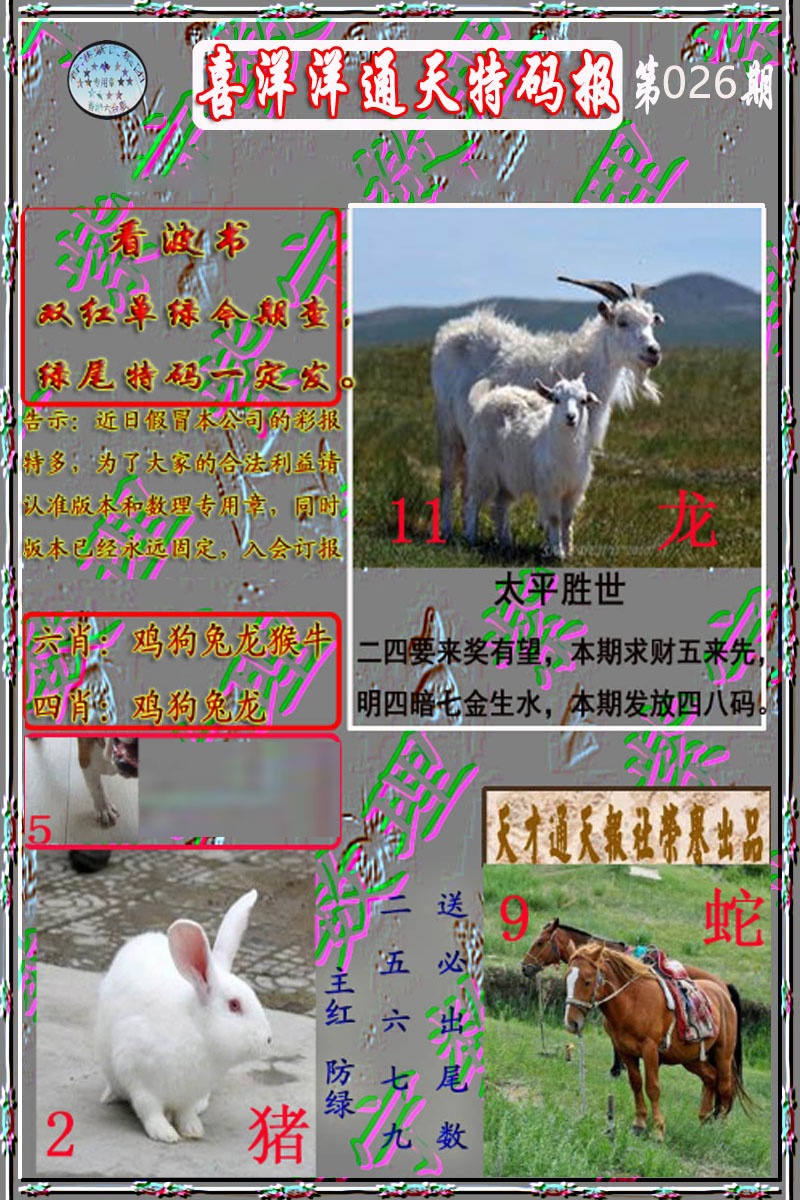 026期洋通报[图]