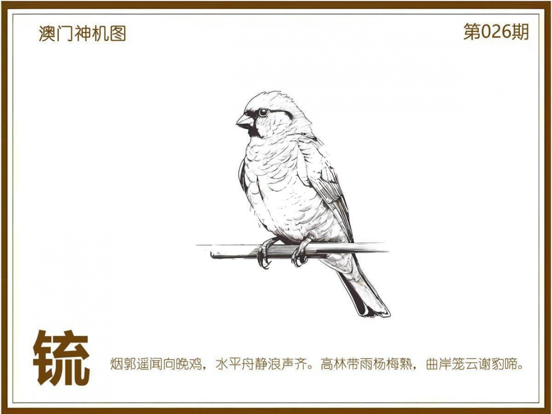 026期澳门神机图[图]